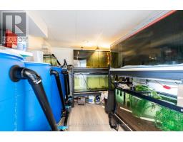 9 Iris Crescent, Brampton, ON L6Z3H8 Photo 35
