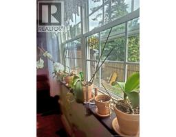 61 Carney Avenue, photo 4