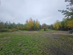 643 Poplar Avenue, St Andrews, MB R1A3K9 Photo 33