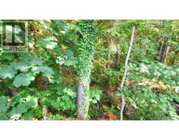 12 1655 Alberni Hwy, Port Alberni, BC V9Y8G8 Photo 30