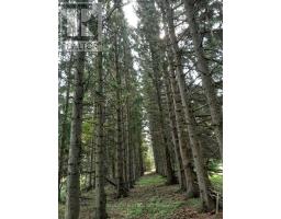638212 St. Vincent-sydenham Line, Meaford, ON N4K5W4 Photo 6