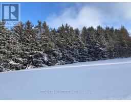 638212 St. Vincent-sydenham Line, Meaford, ON N4K5W4 Photo 9
