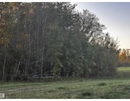Range Road 225 @ Township 612, Rural Thorhild County, AB T0A3J0 Photo 31