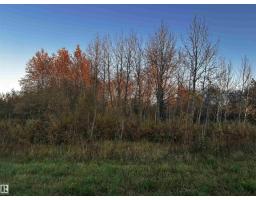 Range Road 225 @ Township 612, Rural Thorhild County, AB T0A3J0 Photo 30
