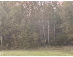 Range Road 225 @ Township 612, Rural Thorhild County, AB T0A3J0 Photo 48