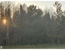 Range Road 225 @ Township 612, Rural Thorhild County, AB T0A3J0 Photo 49