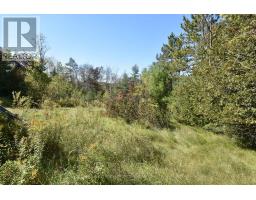 1031 Lookout Hill Road, North Frontenac, ON K0H2M0 Photo 11