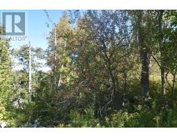 1031 Lookout Hill Road, North Frontenac, ON K0H2M0 Photo 12