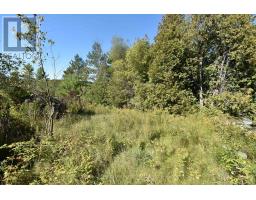 1031 Lookout Hill Road, North Frontenac, ON K0H2M0 Photo 9
