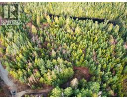 Lot 14 Sarah Point Road, Powell River, BC V0N2G0 Photo 10