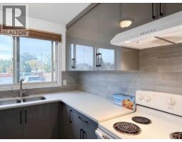 Furnace - 49, 5425 Pensacola Crescent Se, Calgary, AB T2A2G5 Photo 9