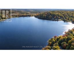 116 North Deer Lake Road, Huntsville, ON P0B1L0 Photo 46