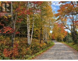 116 North Deer Lake Road, Huntsville, ON P0B1L0 Photo 47
