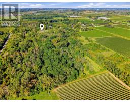 419 Concession 2 Road, Niagara On The Lake, ON L0S1J0 Photo 10