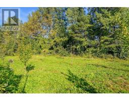 419 Concession 2 Road, Niagara On The Lake, ON L0S1J0 Photo 9