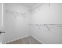 9103 Elves Lo Nw, Edmonton, AB T6M3G2 Photo 33