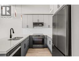 317a, 1 Industrial Place, Canmore, AB T1W1Y1 Photo 10