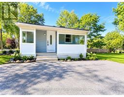 24 Main Street, East Gwillimbury, ON L0G1M0 Photo 21