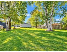 24 Main Street, East Gwillimbury, ON L0G1M0 Photo 26