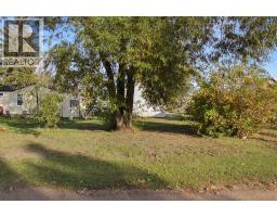 4809 49 Street, Sedgewick, AB T0B4C0 Photo 17