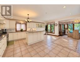 Kitchen - 375 Princess Avenue, Toronto, ON M2N3S7 Photo 9