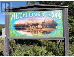 735 Lakeview Road, Spruce Brook, NL A0L1G0 Photo 21