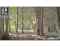 Chemin Laplante Nord, Laplante, NB E8J1Z4 Photo 38