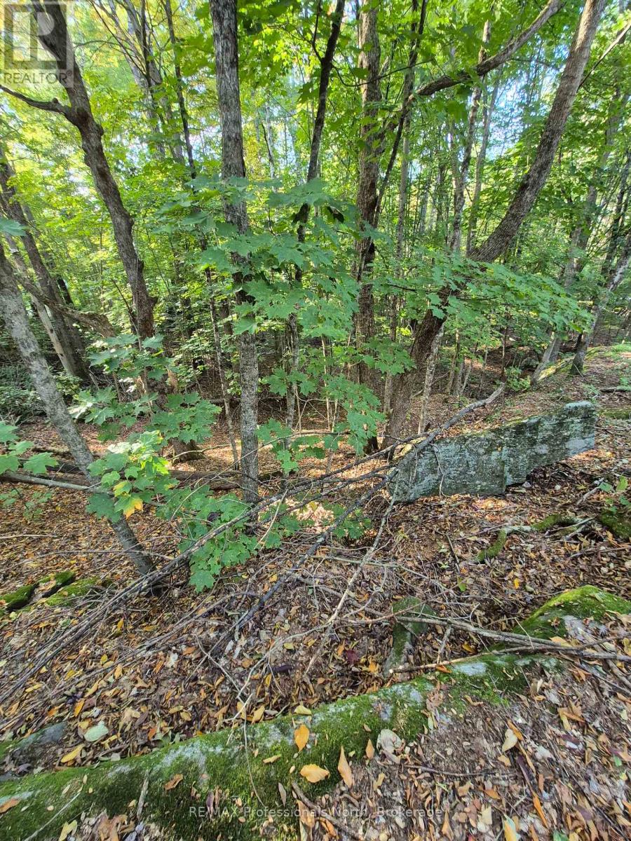 1257 Hamilton Road, Minden Hills (Snowdon), Ontario, K0M2K0, Minden Hills (Snowdon), Ontario — photo 3 of 5