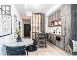 424 - 505 Richmond Street W, Toronto, ON M5V0P4 Photo 8