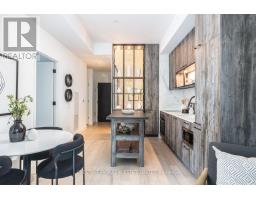 424 - 505 Richmond Street W, Toronto, ON M5V0P4 Photo 9
