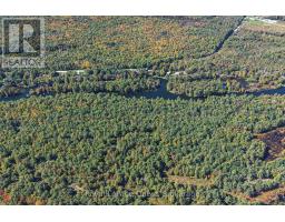 2750 Fairgrounds Road, Ramara, ON L0K2B0 Photo 46