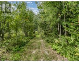 896 Red Deer Lake Road N, Wahnapitae, ON P0M3C0 Photo 10