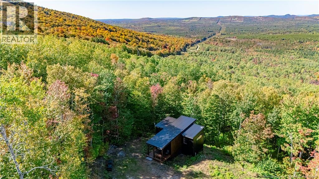 149 Skiers Lane - 41