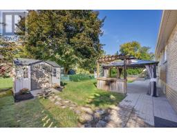 Kitchen - 38 Townsend Avenue, Bradford West Gwillimbury, ON L3Z1Y1 Photo 6