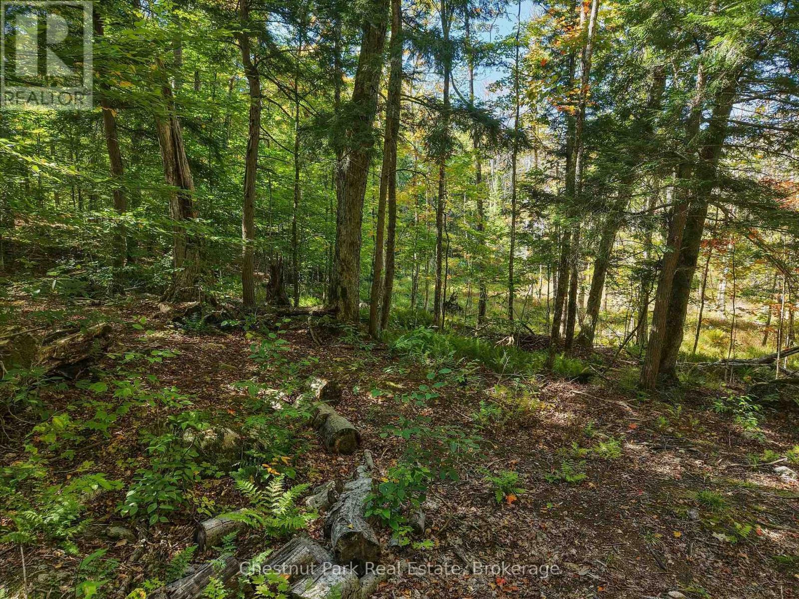 0 ESTONIAN CAMP ROAD, Huntsville (Brunel) — photo 5