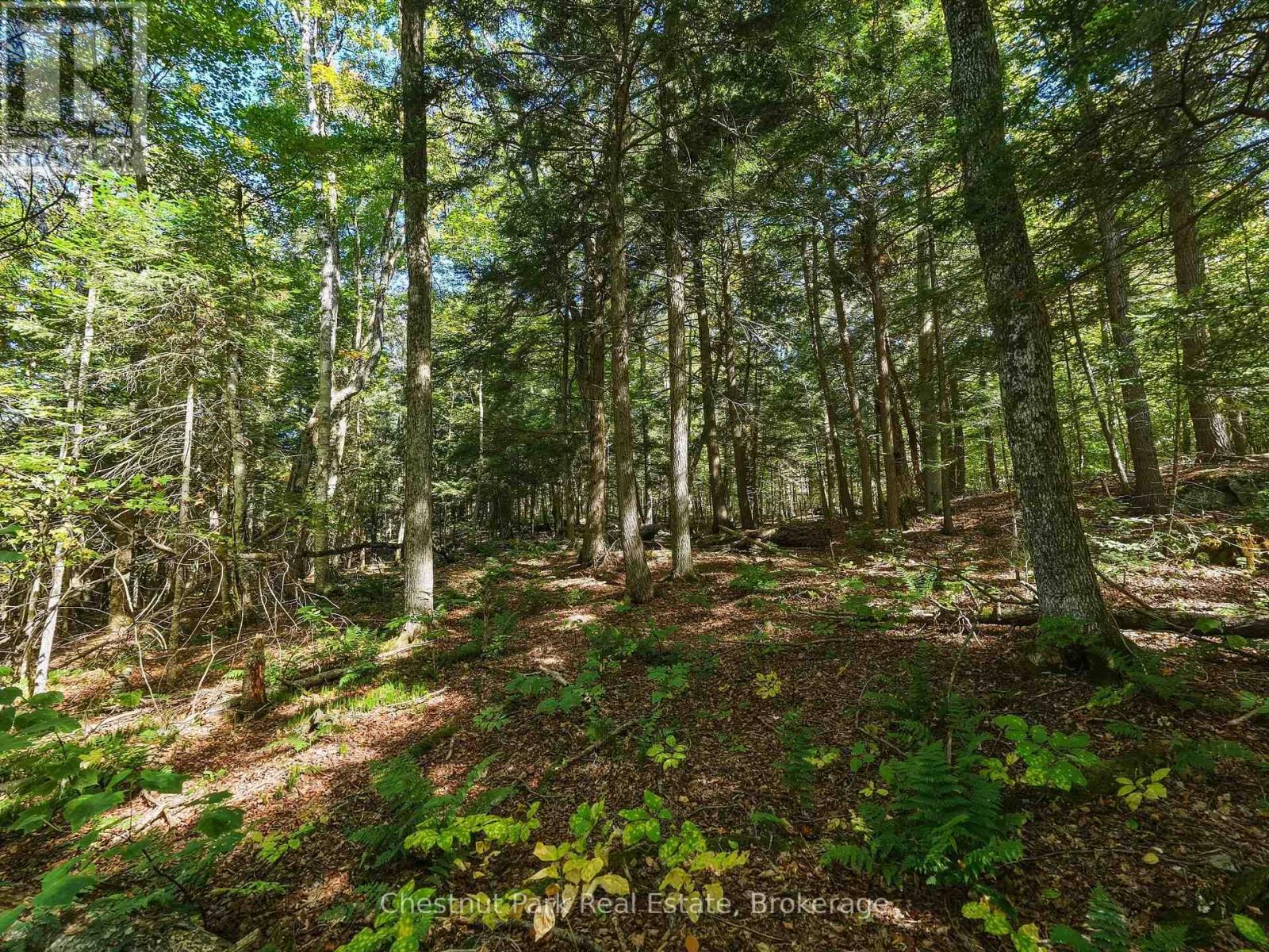 0 ESTONIAN CAMP ROAD, Huntsville (Brunel) — photo 7