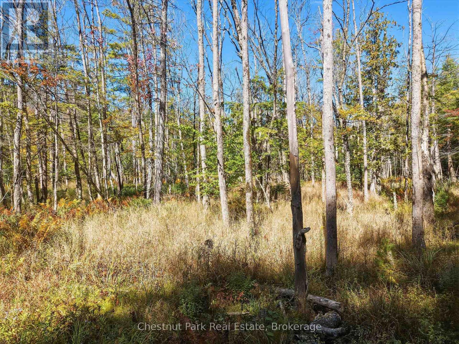 0 ESTONIAN CAMP ROAD, Huntsville (Brunel) — photo 8