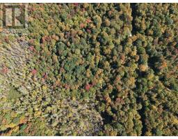 0 Estonian Camp Road, Huntsville, ON P0B1L0 Photo 11