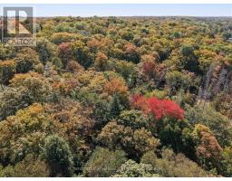 0 Estonian Camp Road, Huntsville, ON P0B1L0 Photo 13