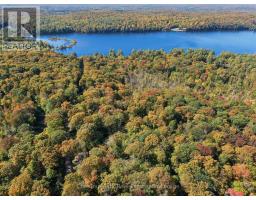 0 Estonian Camp Road, Huntsville, ON P0B1L0 Photo 17