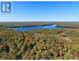 0 Estonian Camp Road, Huntsville, ON P0B1L0 Photo 18
