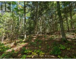 0 Estonian Camp Road, Huntsville, ON P0B1L0 Photo 7
