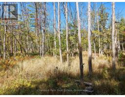 0 Estonian Camp Road, Huntsville, ON P0B1L0 Photo 8
