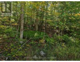 0 Estonian Camp Road, Huntsville, ON P0B1L0 Photo 9
