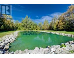775415 Highway 10, Chatsworth, ON N0C1H0 Photo 29
