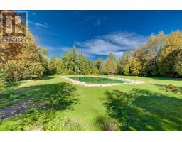 775415 Highway 10, Chatsworth, ON N0C1H0 Photo 33