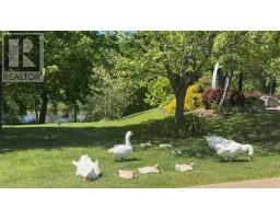 8 Eaton Avenue, Dartmouth, NS B2Y2X5 Photo 48