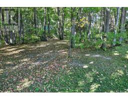 193496 Amaranth - East Luther Townline, East Luther Grand Valley, ON L9W0N5 Photo 12