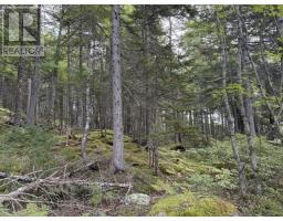 Lot 2 Tupper Lake, Westfield, NS B0T1X0 Photo 15