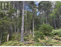 Lot 2 Tupper Lake, Westfield, NS B0T1X0 Photo 16